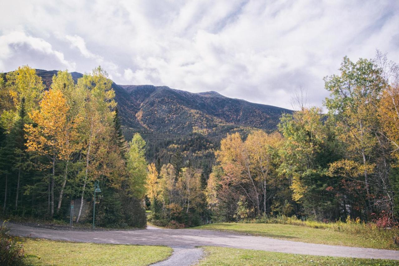 Gite Du Mont-Albert - Sepaq Sainte Anne-des-Chênes Eksteriør bilde