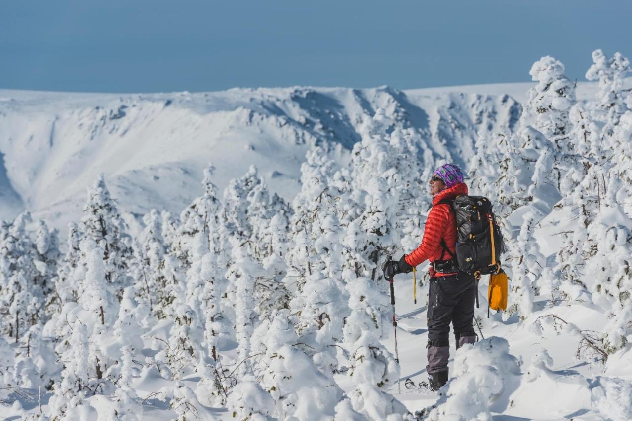 Gite Du Mont-Albert - Sepaq Sainte Anne-des-Chênes Eksteriør bilde
